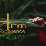 The Human Experience