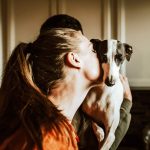Companion Animals