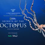 Secrets of the Octopus poster
